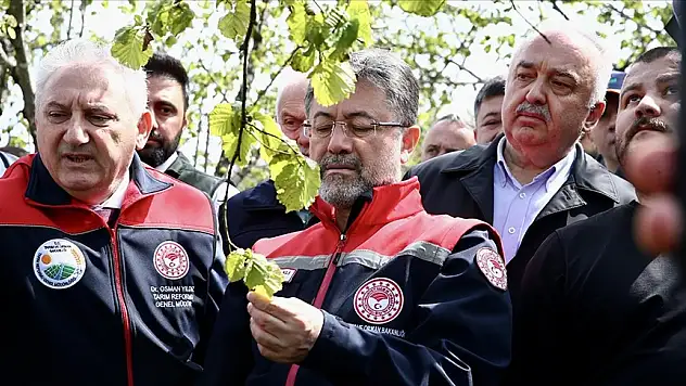 Zirai dondan etkilenen 16 meyve türü için destek verilecek!