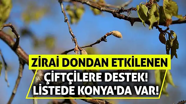 Zirai Dondan Etkilenen Çiftçilere Destek! Listede Konya'da Var!