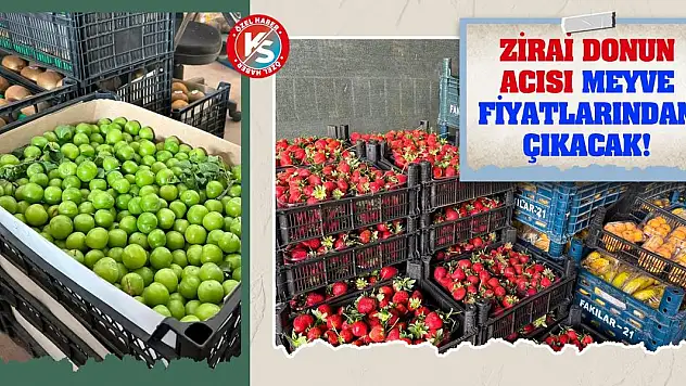 Zirai donun acısı meyve fiyatlarından çıkacak!