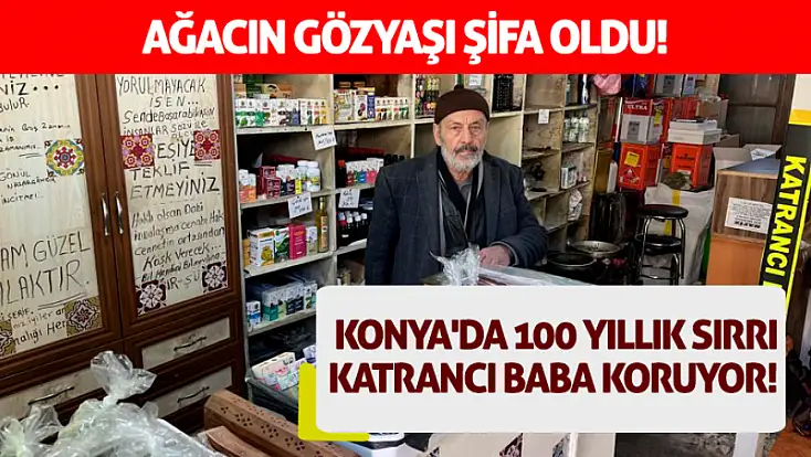 Ağacın gözyaşı şifa oldu! Konya'da 100 yıllık sırrı katrancı baba koruyor!