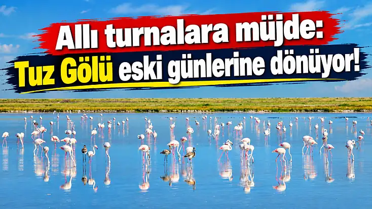 Allı turnalara müjde: Tuz Gölü eski günlerine dönüyor!