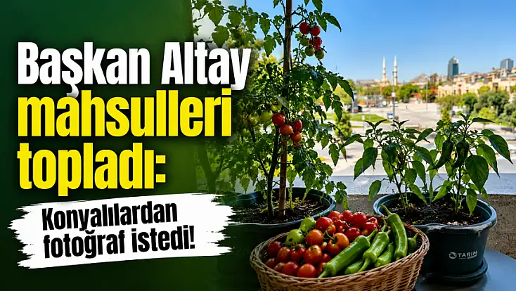 Başkan Altay mahsulleri topladı: Konyalılardan fotoğraf istedi!