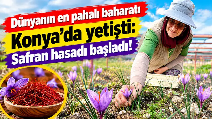Başkan Altay müjdeyi verdi: Çiftçimize alternatif gelir kapısı açıyoruz!