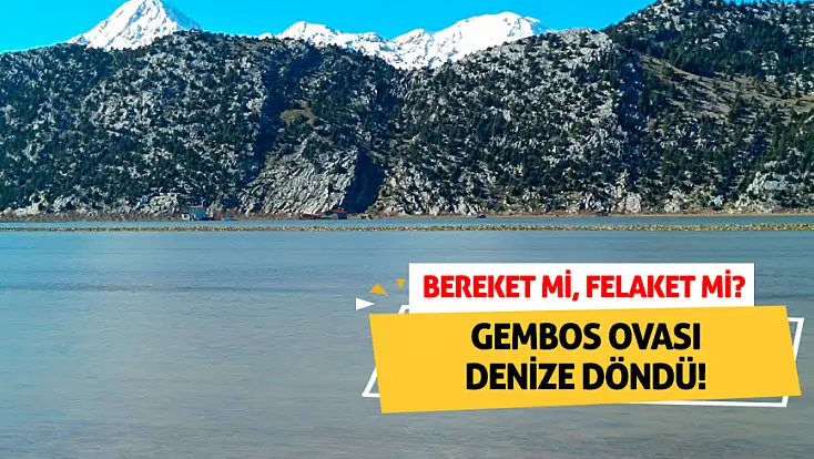 Gembos Ovası denize döndü! Bereket mi, felaket mi?