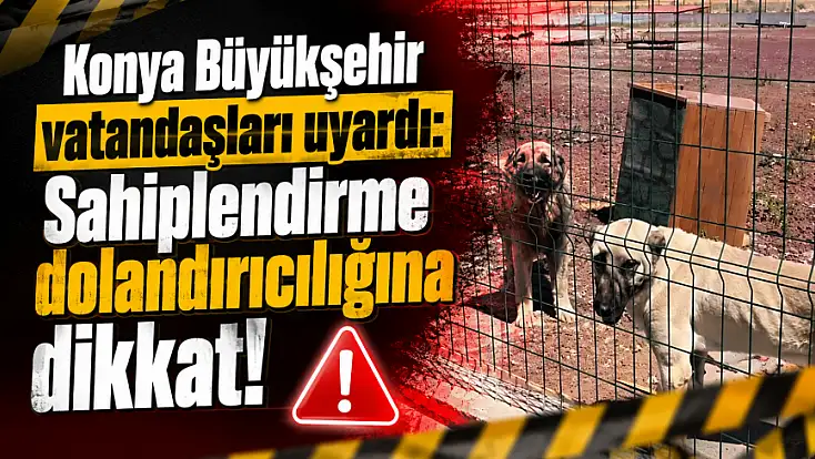 Konya Büyükşehir vatandaşları uyardı: Sahiplendirme dolandırıcılığına dikkat!