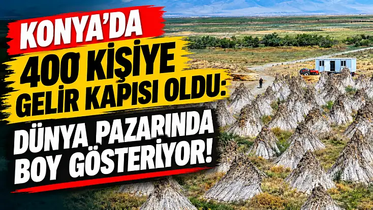 Konya'da 400 kişiye gelir kapısı oldu: Dünya pazarında boy gösteriyor!