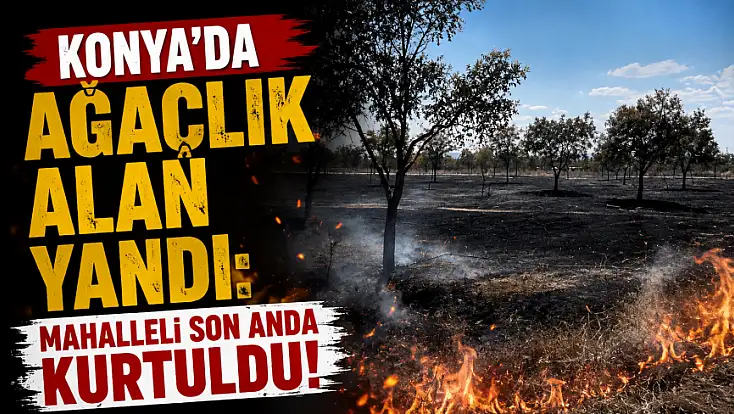 Konya'da ağaçlık alan yandı: Mahalleli son anda kurtuldu!