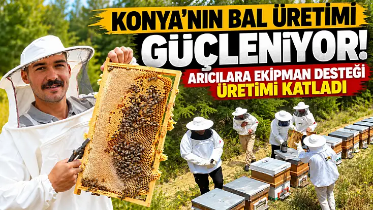 Konya’da arıcılara büyük destek! Üretim arttı, kovan sayısı 140 bine dayandı