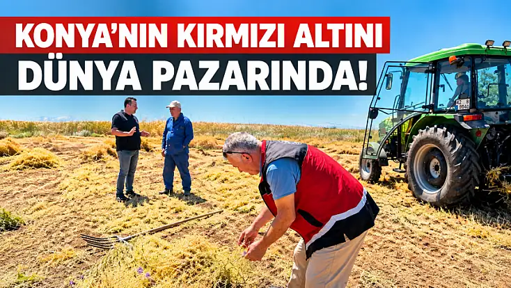 Konya'da bir mahalle üretimde ezber bozdu! Avrupa'ya kadar ulaşıyor