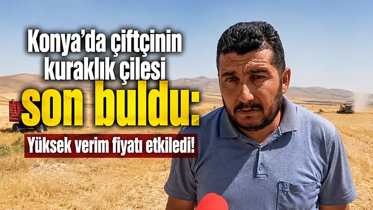 Konya'da çiftçinin kuraklık çilesi son buldu: Yüksek verim fiyatı etkiledi!