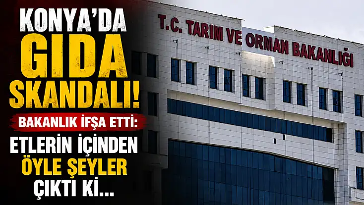 Konya'da gıda skandalı! Bakanlık ifşa etti: Etlerin içinden öyle şeyler çıktı ki...