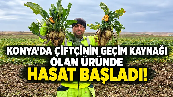 Konya'da hasat vakti! Çiftçinin gözü bu üründe