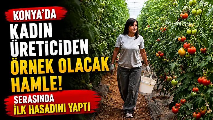 Konya'da kadın üreticiden örnek olacak hamle! Serasında ilk hasadını yaptı