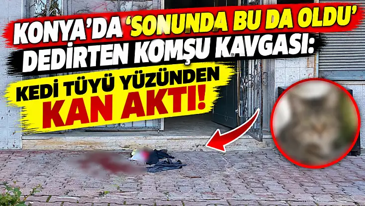 Konya'da kedi tüyü yüzünden komşusunu yüzünden bıçakladı! 2 yaralı...