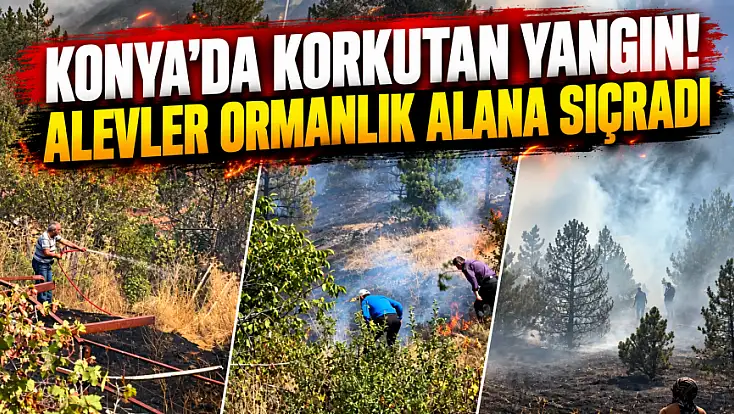 Konya’da korkutan yangın! Alevler ormanlık alana sıçradı