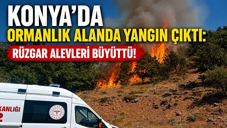 Konya’da ormanlık alanda yangın çıktı: Rüzgar alevleri büyüttü!