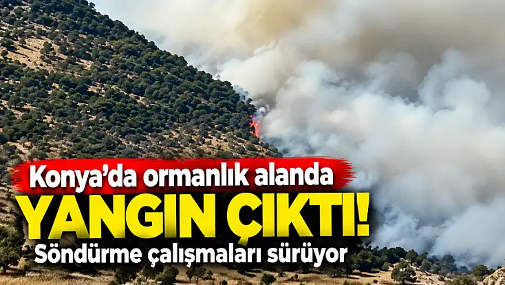 Konya’da ormanlık alanda yangın çıktı! Söndürme çalışmaları sürüyor