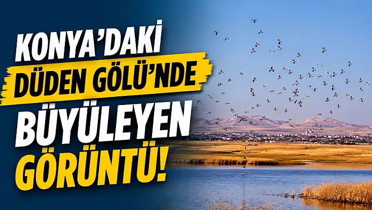 Konya'daki Düden Gölü'nde büyüleyen görüntü!