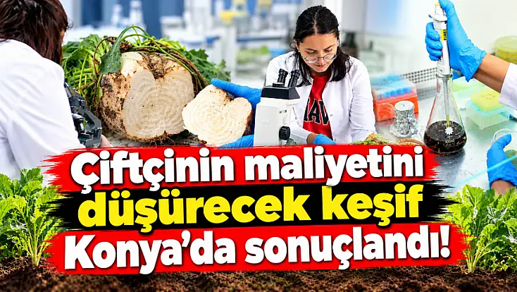 Konya’daki tarlalarda ortaya çıktı! Umut, toprağın altında saklıymış