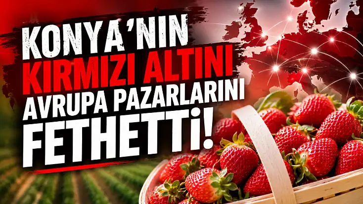 Konya’nın kırmızı altını Avrupa pazarlarını fethetti!