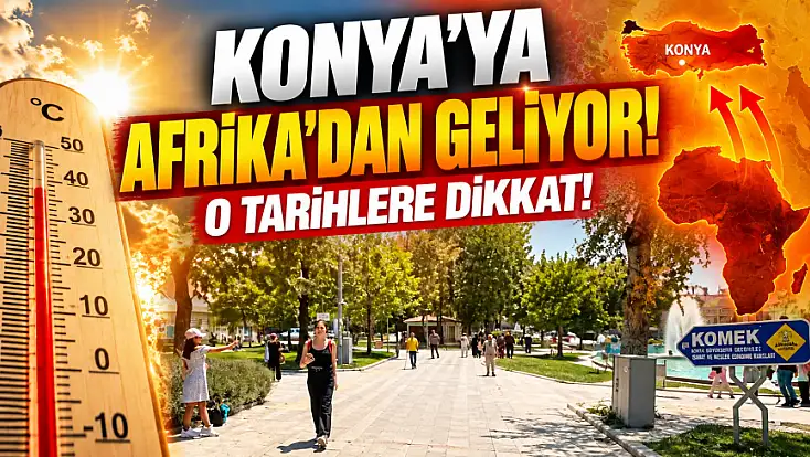 Konya'ya Afrika'dan geliyor! O tarihlere dikkat!