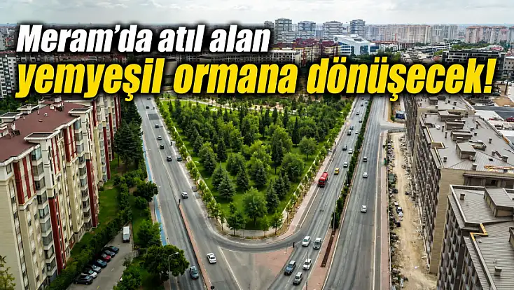 Meram'da atıl alan yemyeşil ormana dönüşecek!