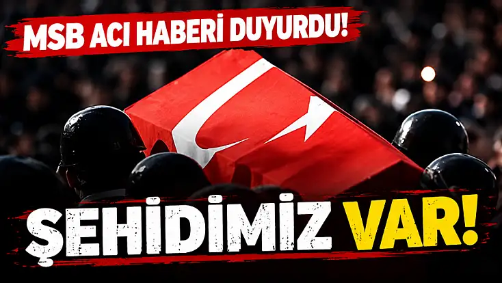 Piyade Uzman Çavuş Yusuf Güneş, şehit oldu