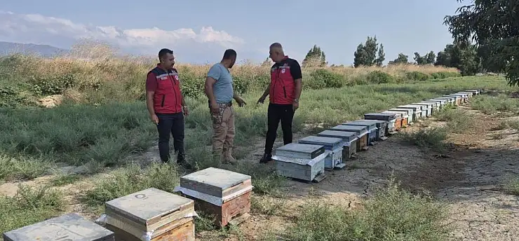 Arıcılar bal sağımını sürdürüyor