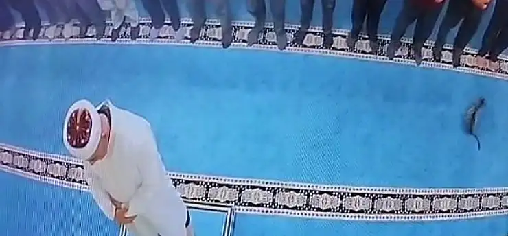 Camide kediyi tekmeleyen şahsa sosyal medyada tepki yağdı