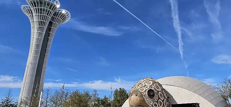 COP31'in maskotu 'caretta caretta' için pavilyon tasarlandı