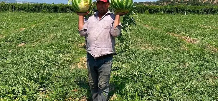 Girdi maliyetlerine direnen çiftçiden ezber bozan hamle!