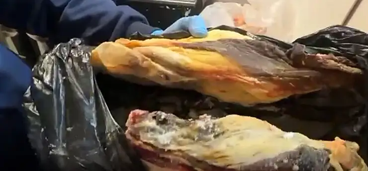 Halkın sağlığıyla oynamışlar: 170 kilo bozuk et ve çürük yumurta imha edildi!