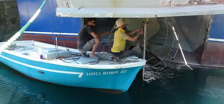 İlk sinyal geldi, balıkçılar bu yıl o balıktan çok umutlu