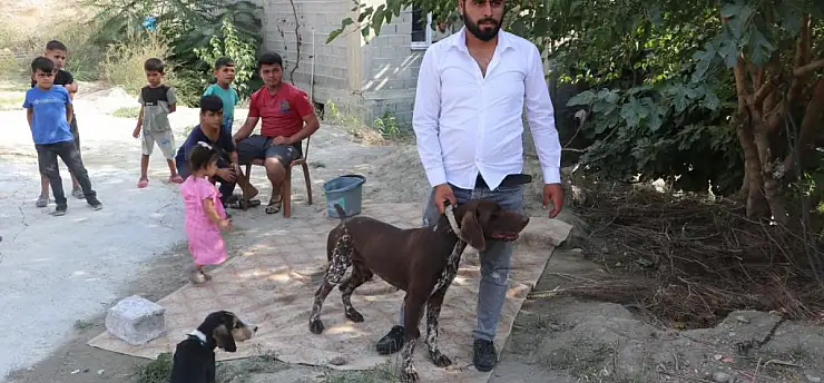 Komşusunun köpeğine sopayla vurdu! 'Tavuklarıma saldırdı'