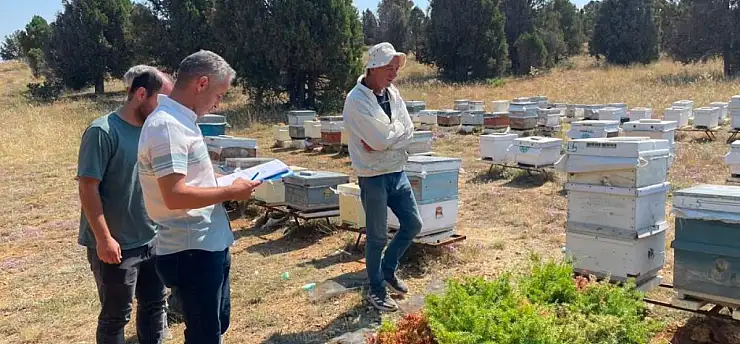 Konya'da arılı kovanlar sayıldı, sektörün sorunları dinlendi