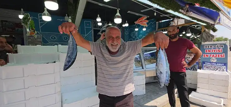 Palamut tezgaha indi, vatandaş sıraya girdi