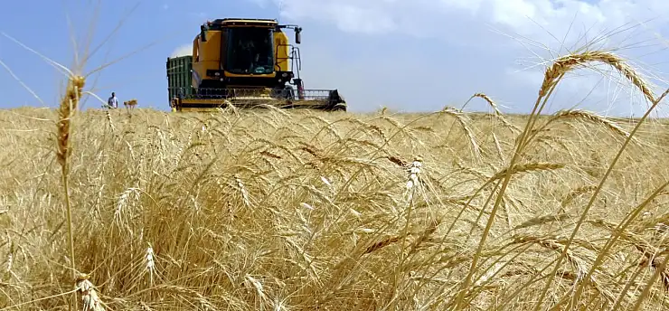 Tarım ÜFE ocakta aylık bazda arttı