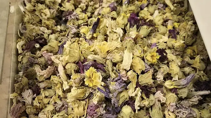 Kışın favorisi listesi uzadı!