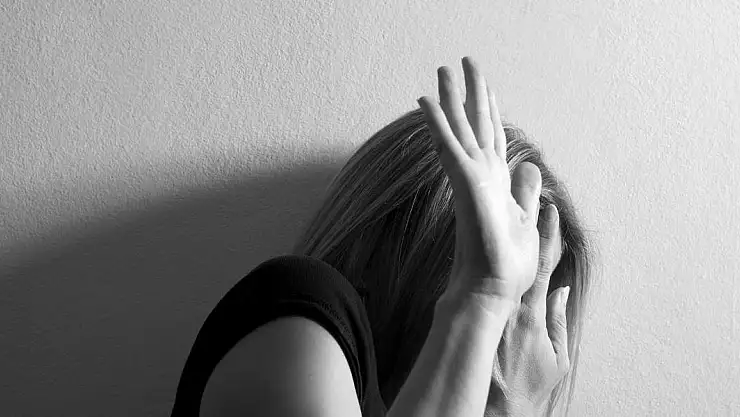 Meclis'te 'Kadına şiddet raporu' tamamlandı