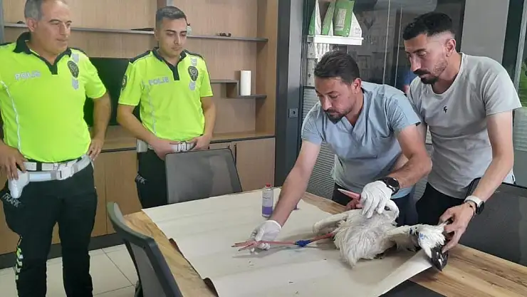 Yaralı leyleğe polisten şefkat eli