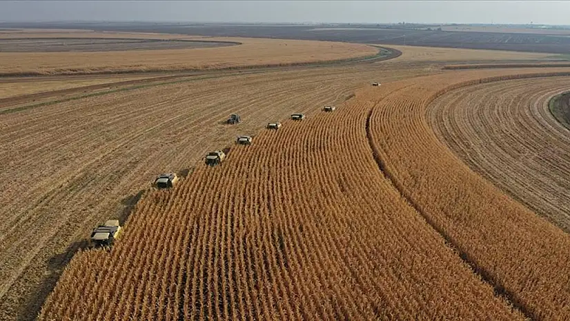 Çiftçinin Geliri Artık Garantide! Tarımda Yeni Dönem Başlıyor