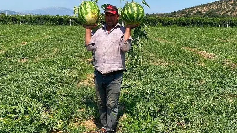 Girdi maliyetlerine direnen çiftçiden ezber bozan hamle!