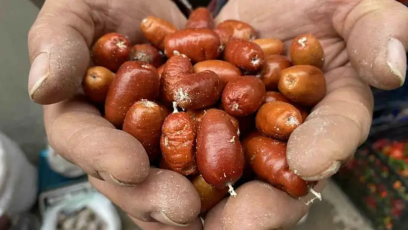 İğde ağaçlarının sayısı her geçen gün azalıyor