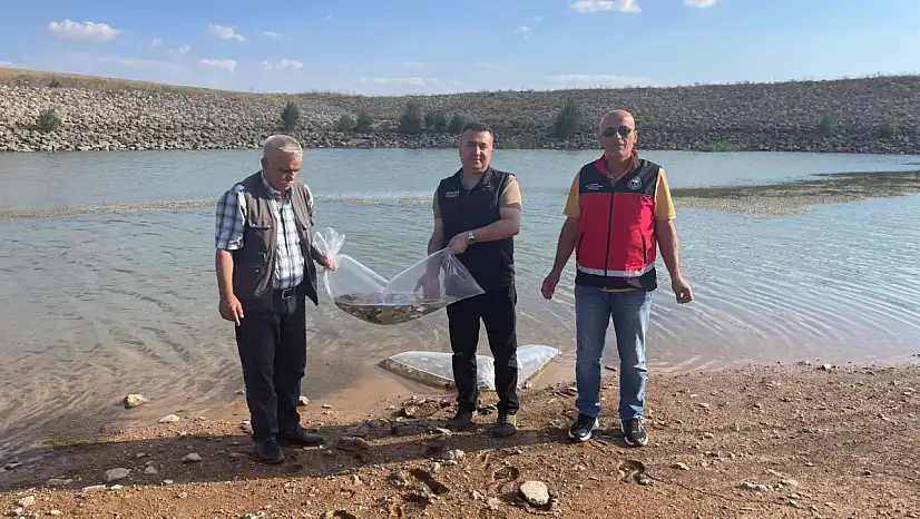 Konya'da göletlere balık bırakıldı