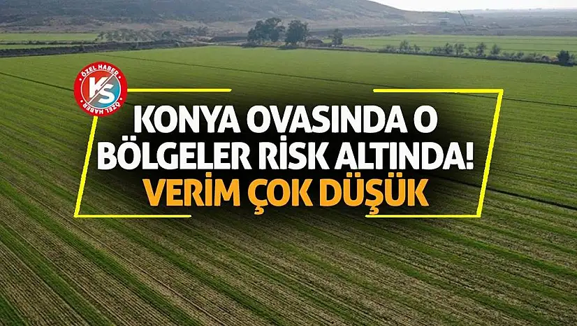 Konya Ovasında o bölgeler risk altında! Verim çok düşük