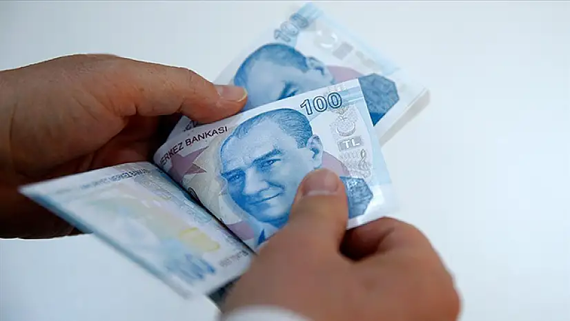 Sosyal ve Ekonomik Destek ödemeleri hesaplara yatırıldı