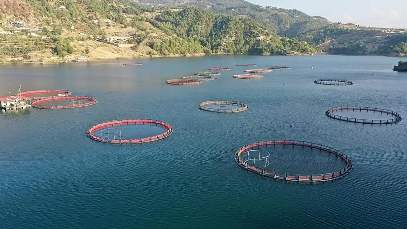 Su ürünleri avcılığı sözleşmeli üretim kapsamına alındı