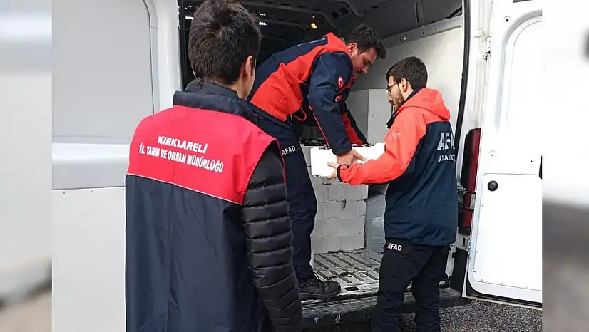 Yasal boy sınırı altındaki 3 ton istavrit yakalandı