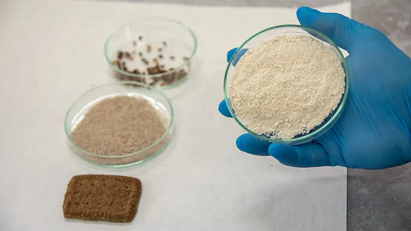 Bildiğiniz tüm atıştırmalıkları unutun! Konya'da üretilen bu bisküvi hücre yeniliyor!