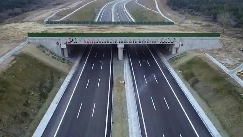 Konya-Aksaray yolunda dikkat çeken plan! Doğal yaşam korunacak